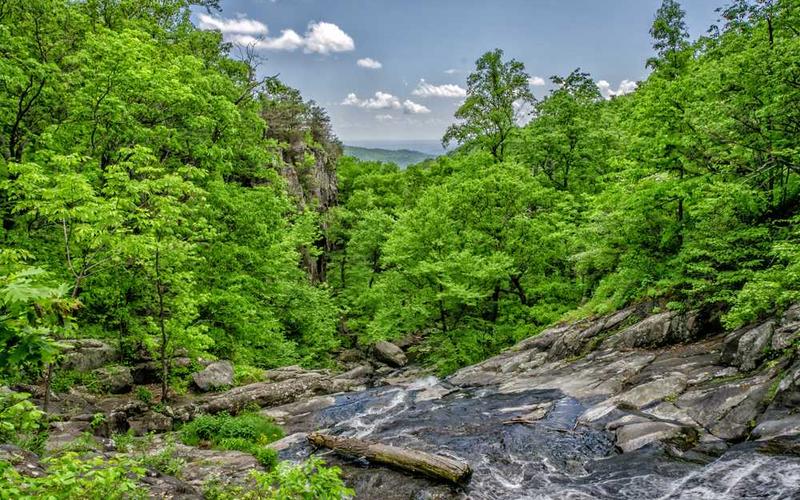 外贸企业解决方案